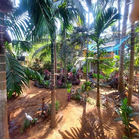 Вілла Areca Nest Гокарна Екстер'єр фото